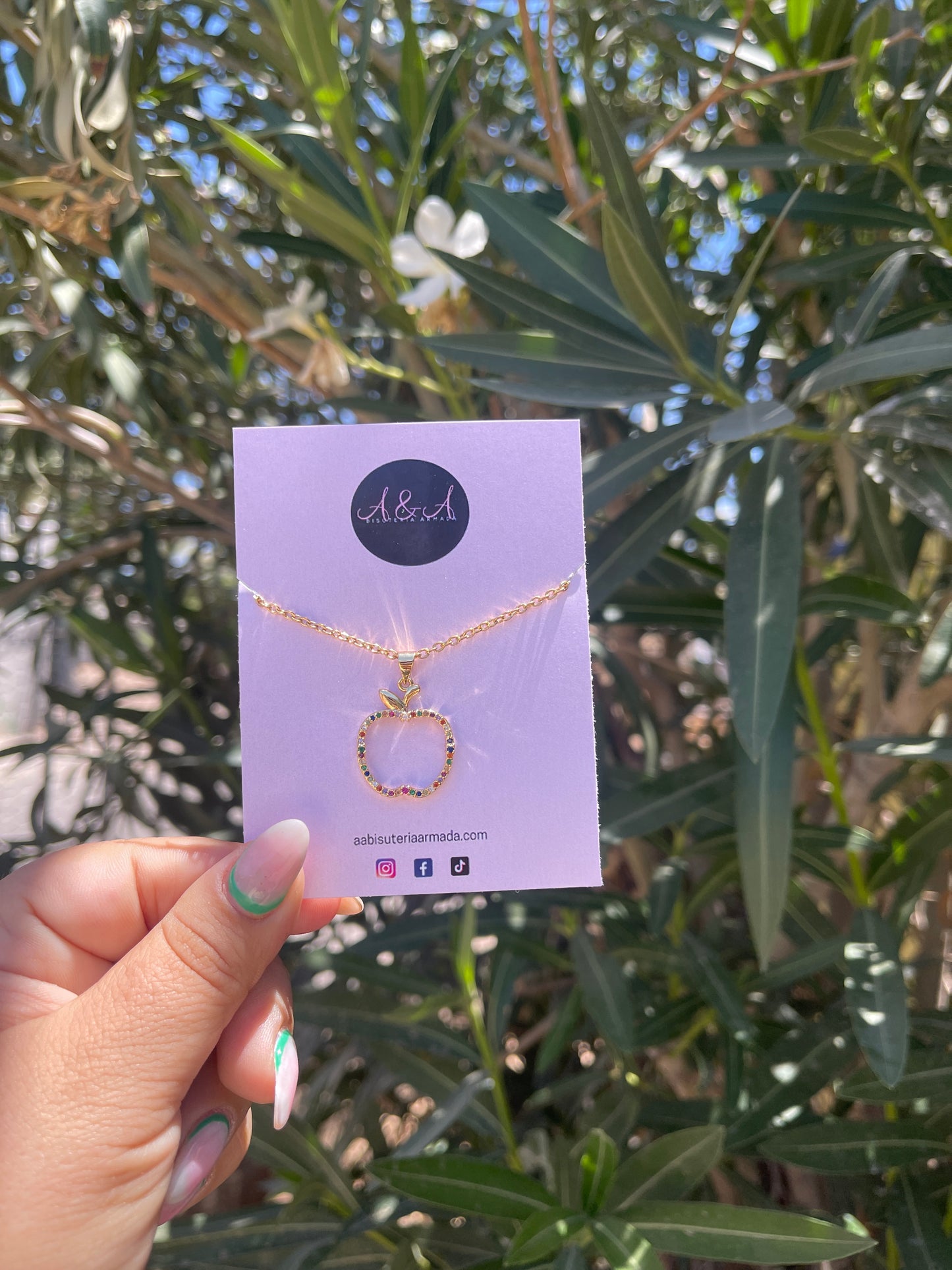 Apple Zirconia Teacher Necklace