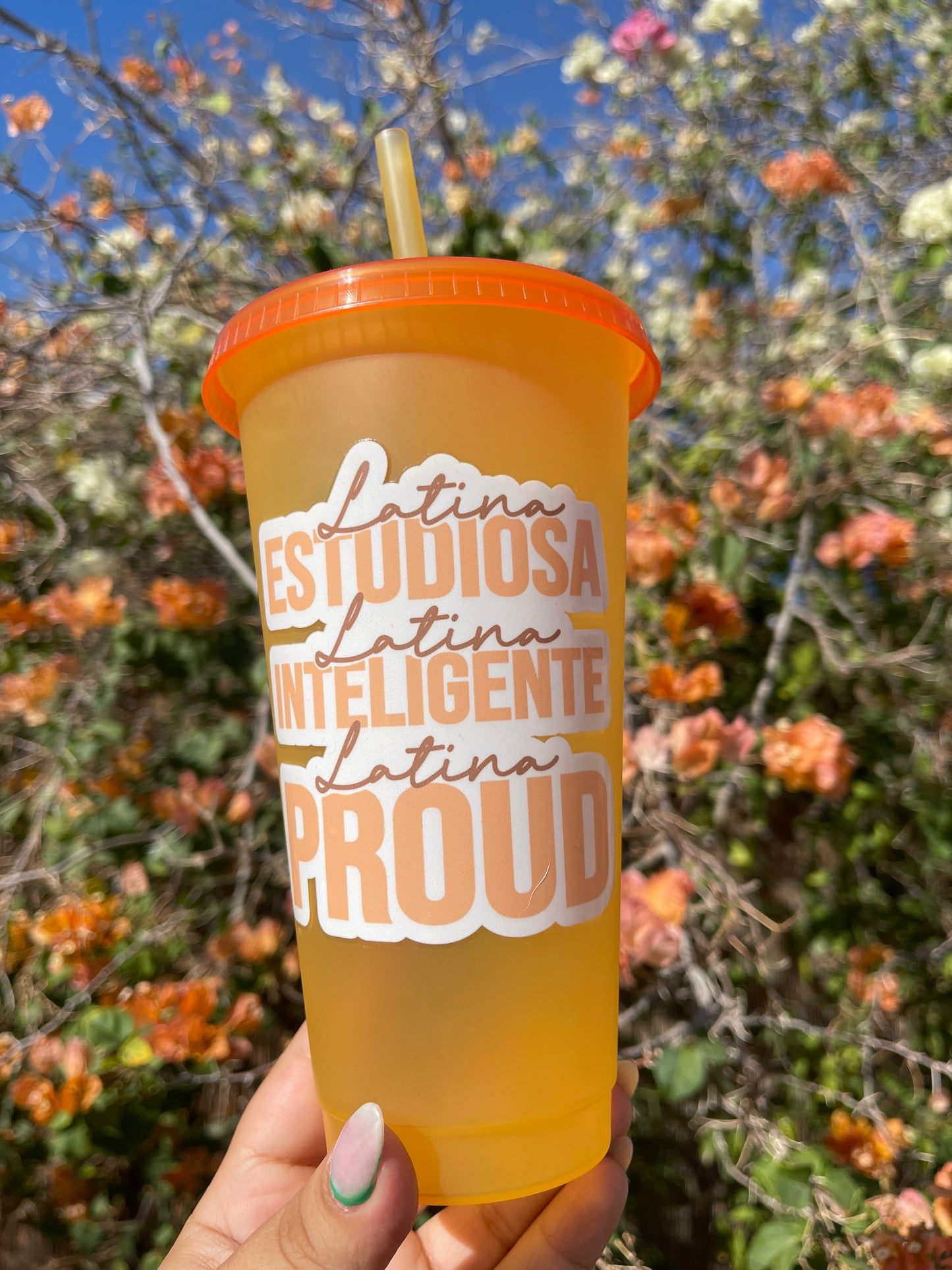 Latina Cold Cup